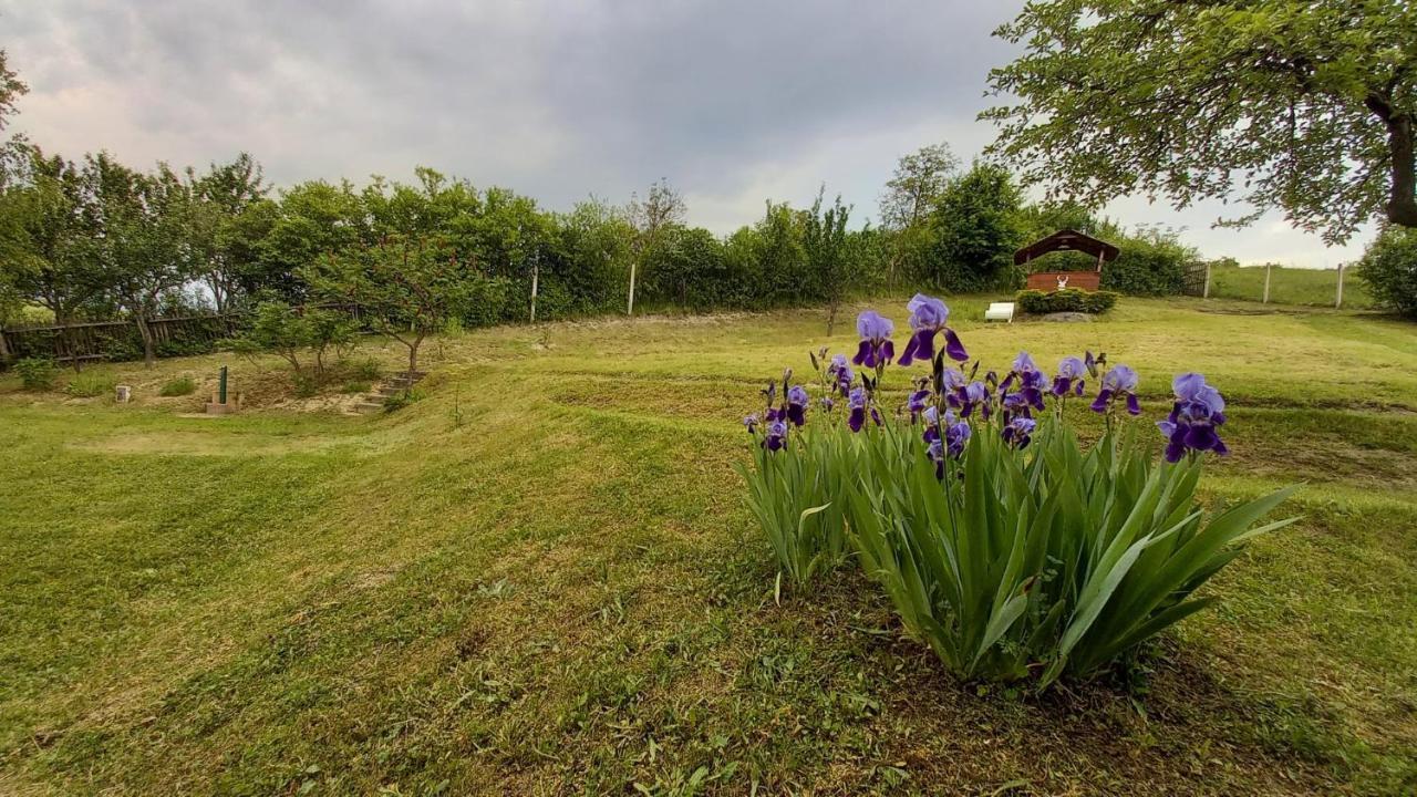 Vadaszles Vendeghaz Bukkszentmarton Bagian luar foto
