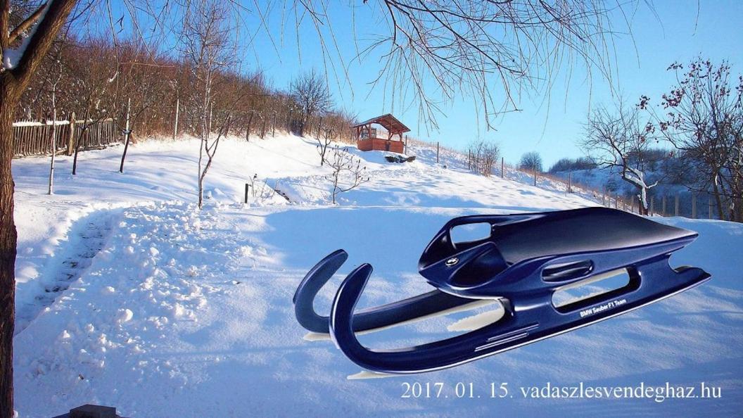 Vadaszles Vendeghaz Bukkszentmarton Bagian luar foto